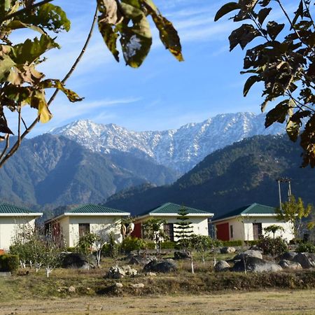 דרמסאלה Dhauladhar View Village Resort מראה חיצוני תמונה