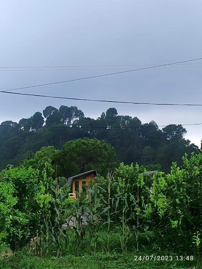 דרמסאלה Dhauladhar View Village Resort מראה חיצוני תמונה