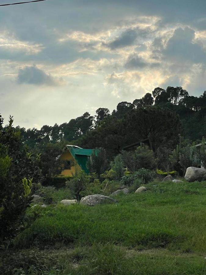 דרמסאלה Dhauladhar View Village Resort מראה חיצוני תמונה
