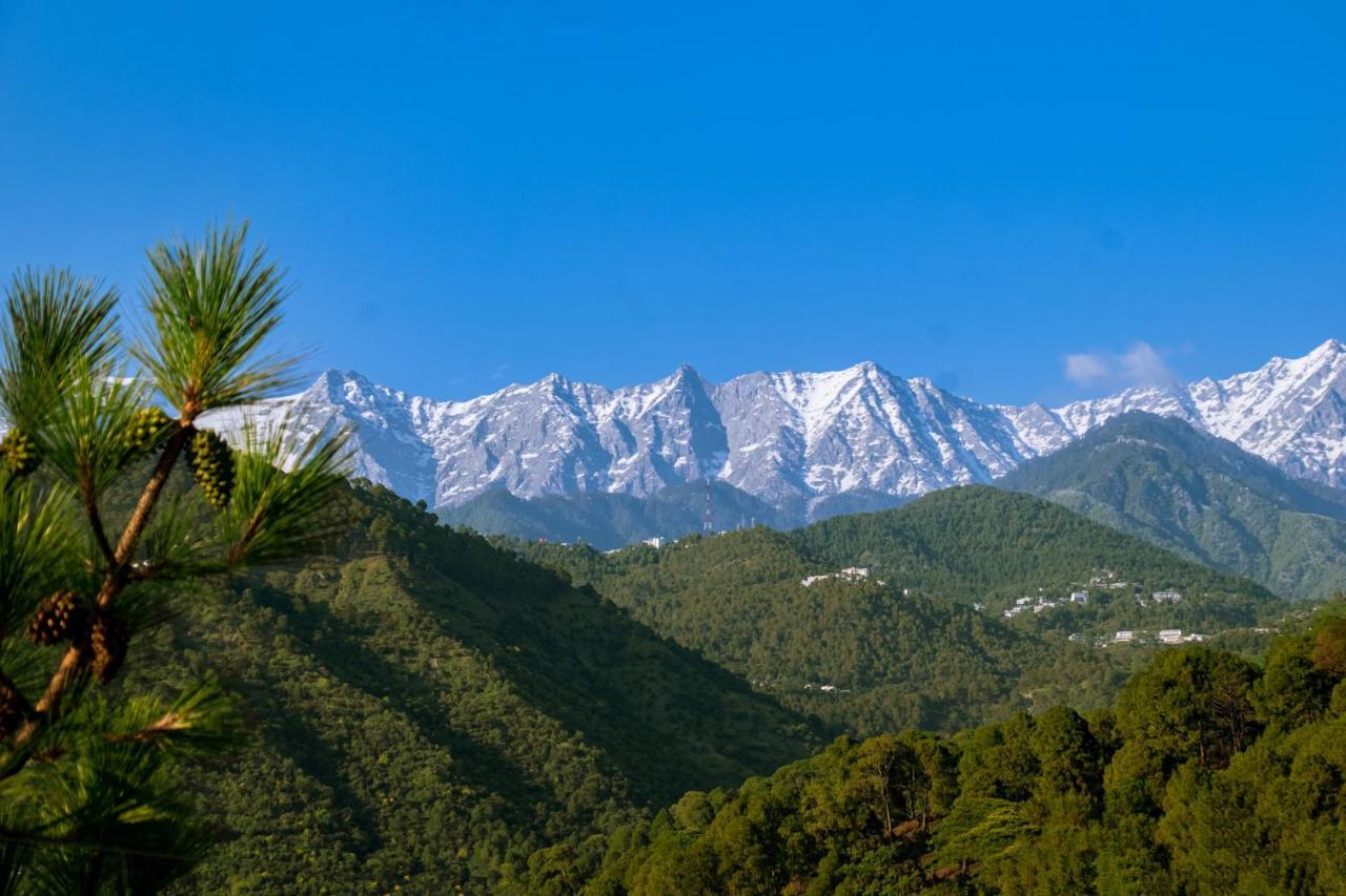 דרמסאלה Dhauladhar View Village Resort מראה חיצוני תמונה